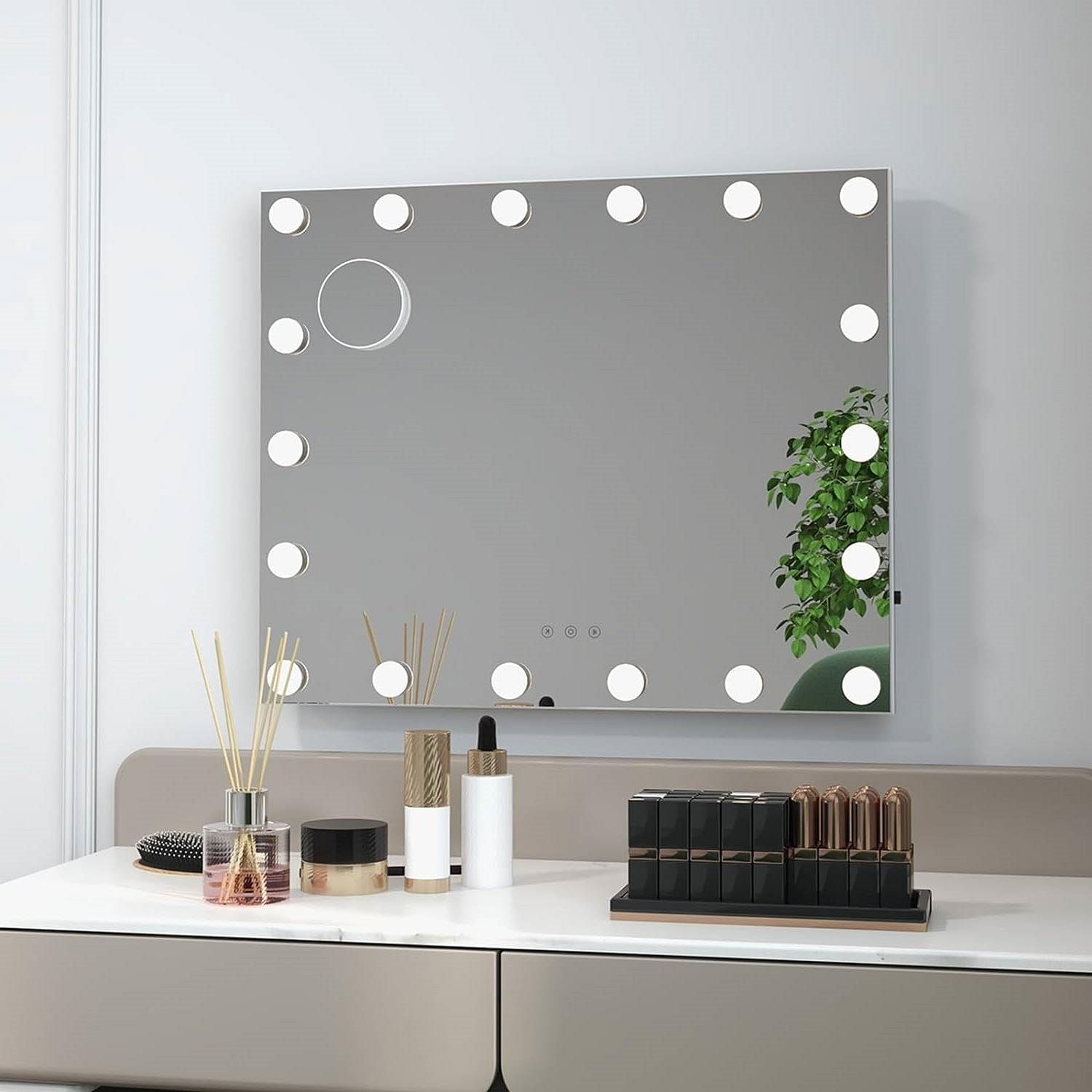 21 x 26 in Bathroom Mirror w/ Dimmable Lights + Removable 3X Magnifying Mirror - Free Shipping 