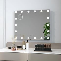 21 x 26 in Bathroom Mirror w/ Dimmable Lights + Removable 3X Magnifying Mirror - Free Shipping 