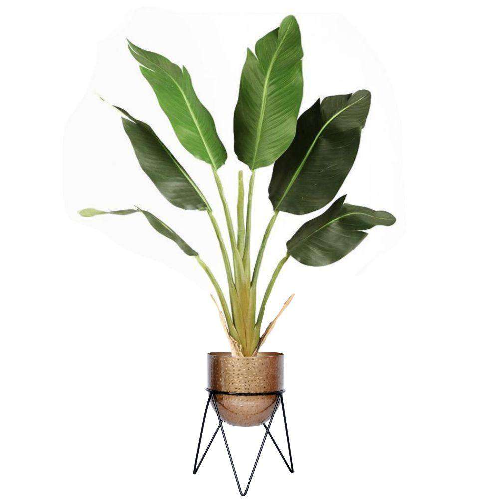 Teresa - Brass Mid-Century Planter With Black Metal Stand 