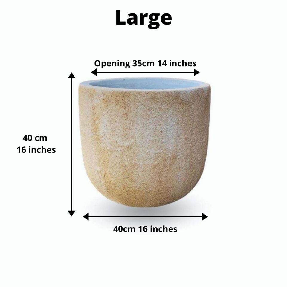 Trevi Cement Planter (Multiple Sizes) 