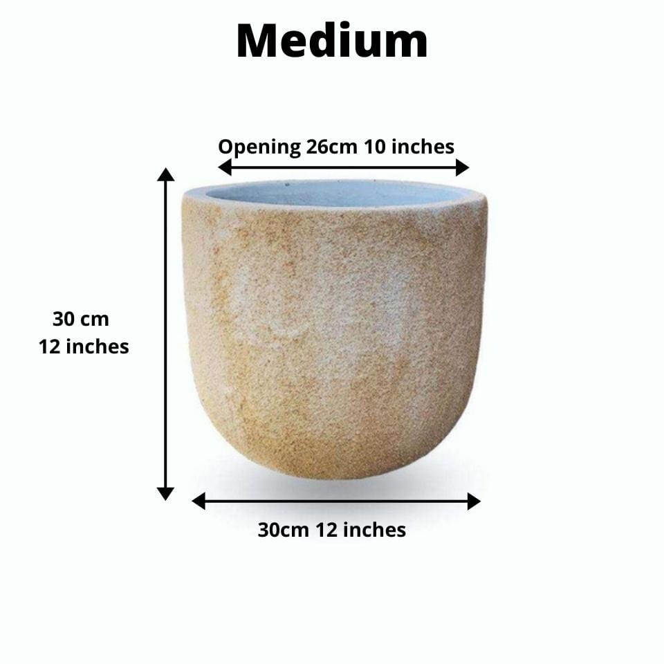 Trevi Cement Planter (Multiple Sizes) 