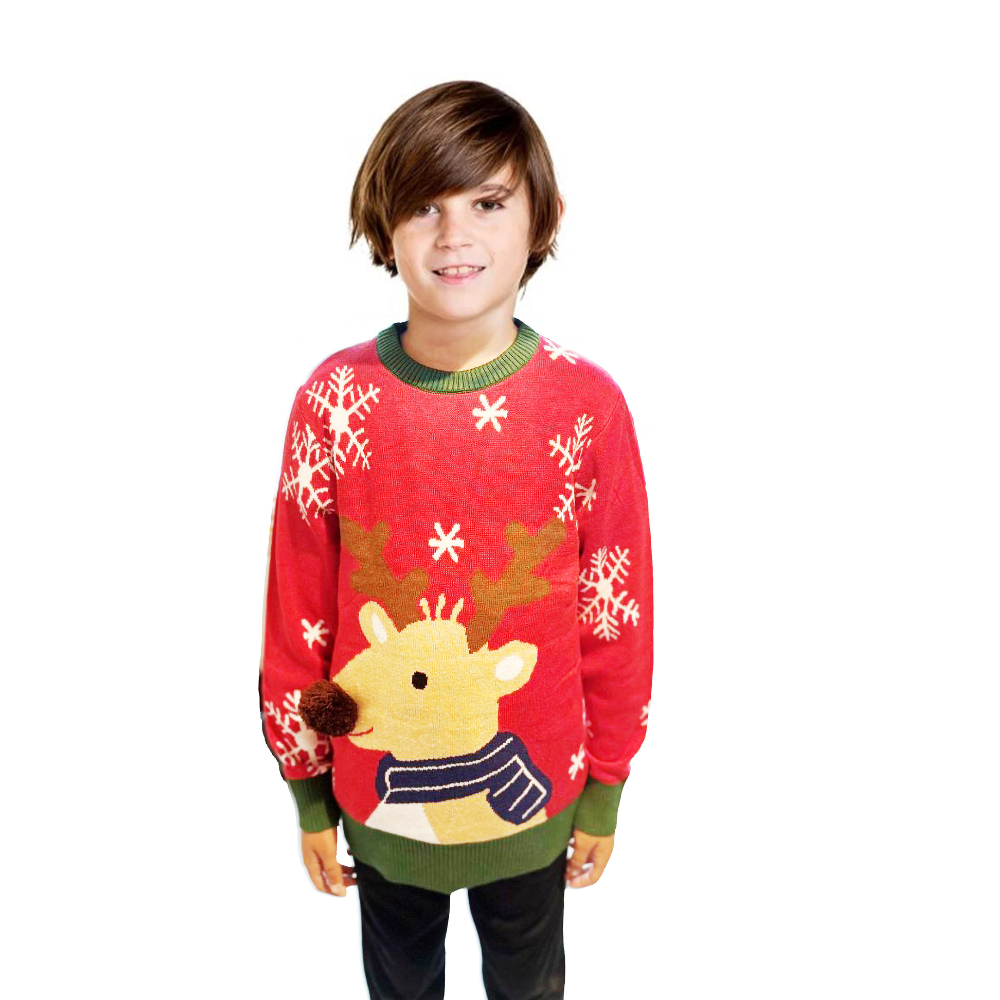 Boy Reindeer Sweater With a Pompom 