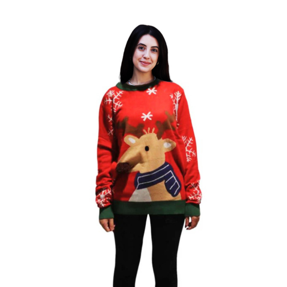 Reindeer Sweater With a Pompom 