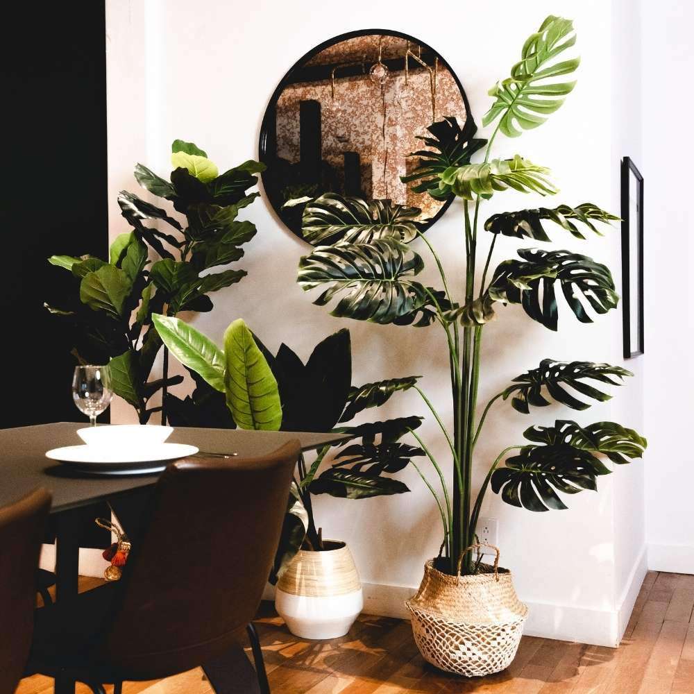 Rita Artificial Monstera Potted Plant (Multiple Sizes) 