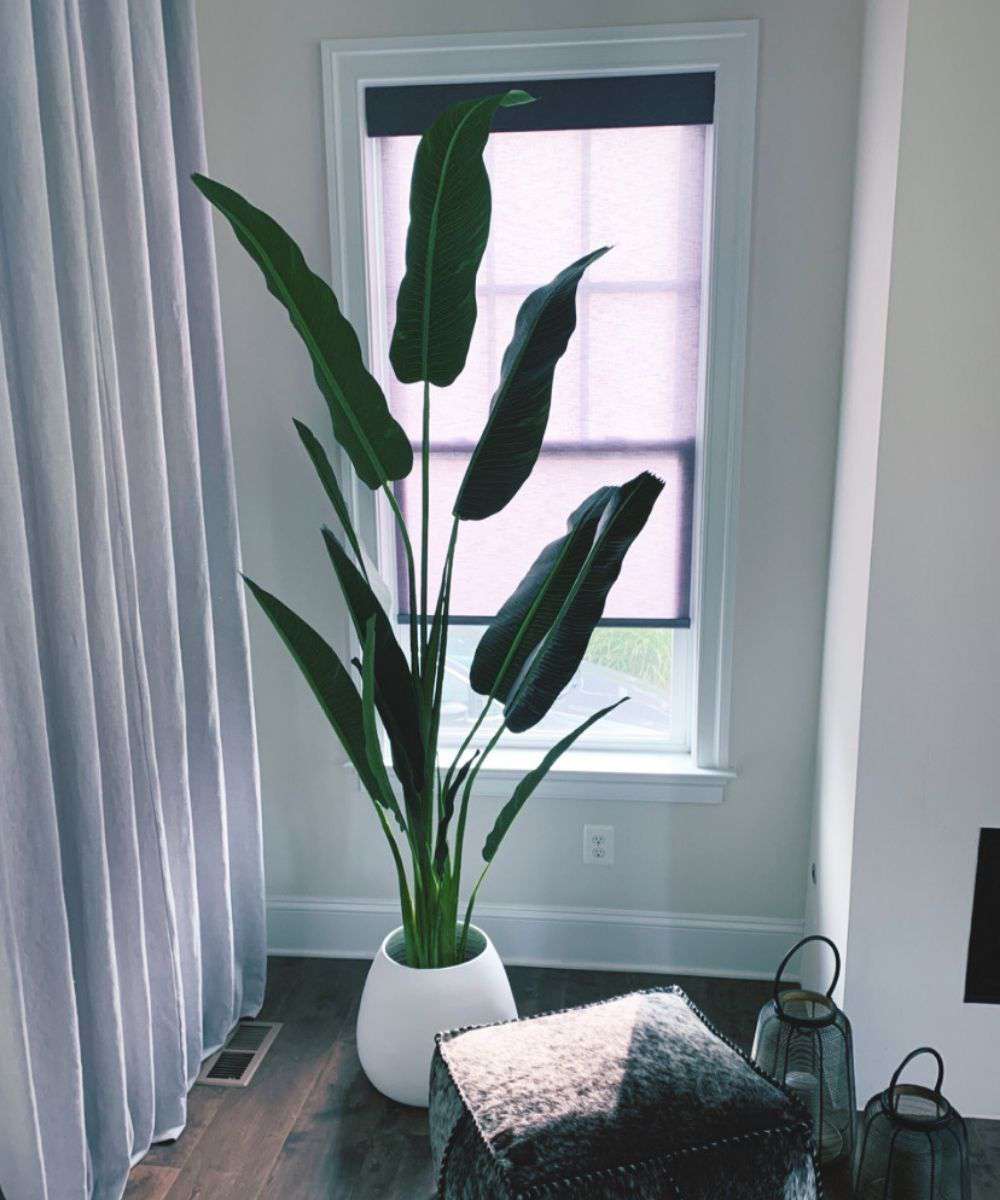 Margo - White Bamboo Floor Planter 