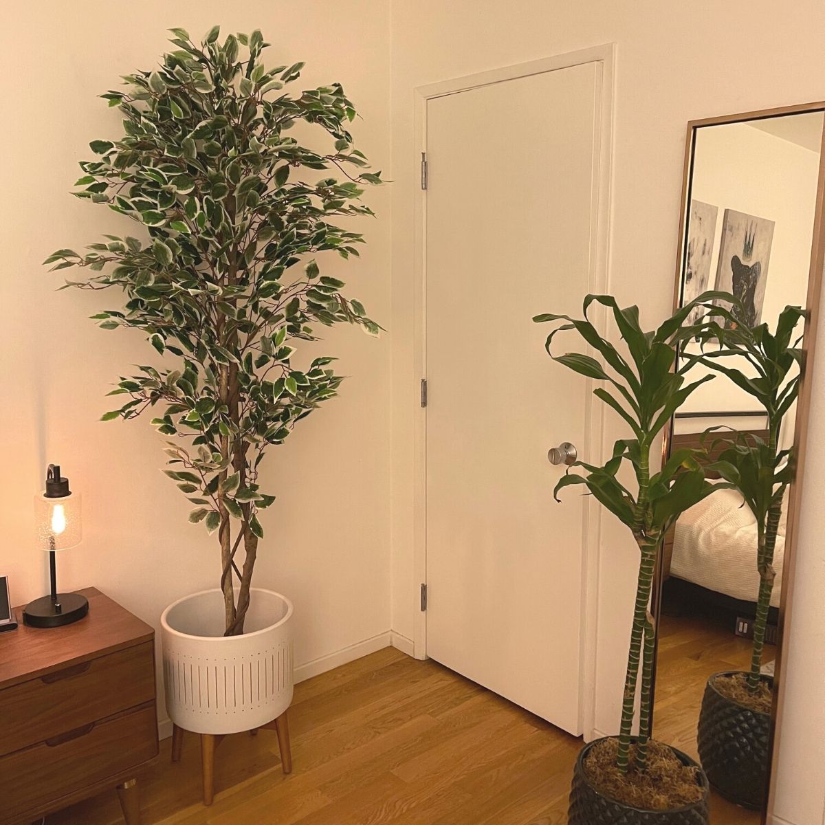 Olaya Artificial Ficus Potted Plant 6' 