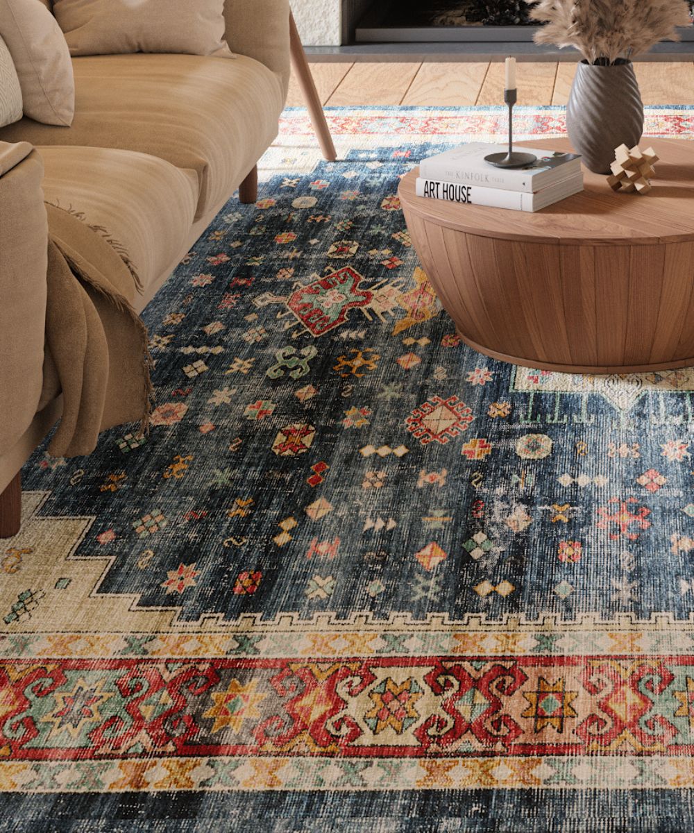 Dilara Multi Color Red Blue Rug 