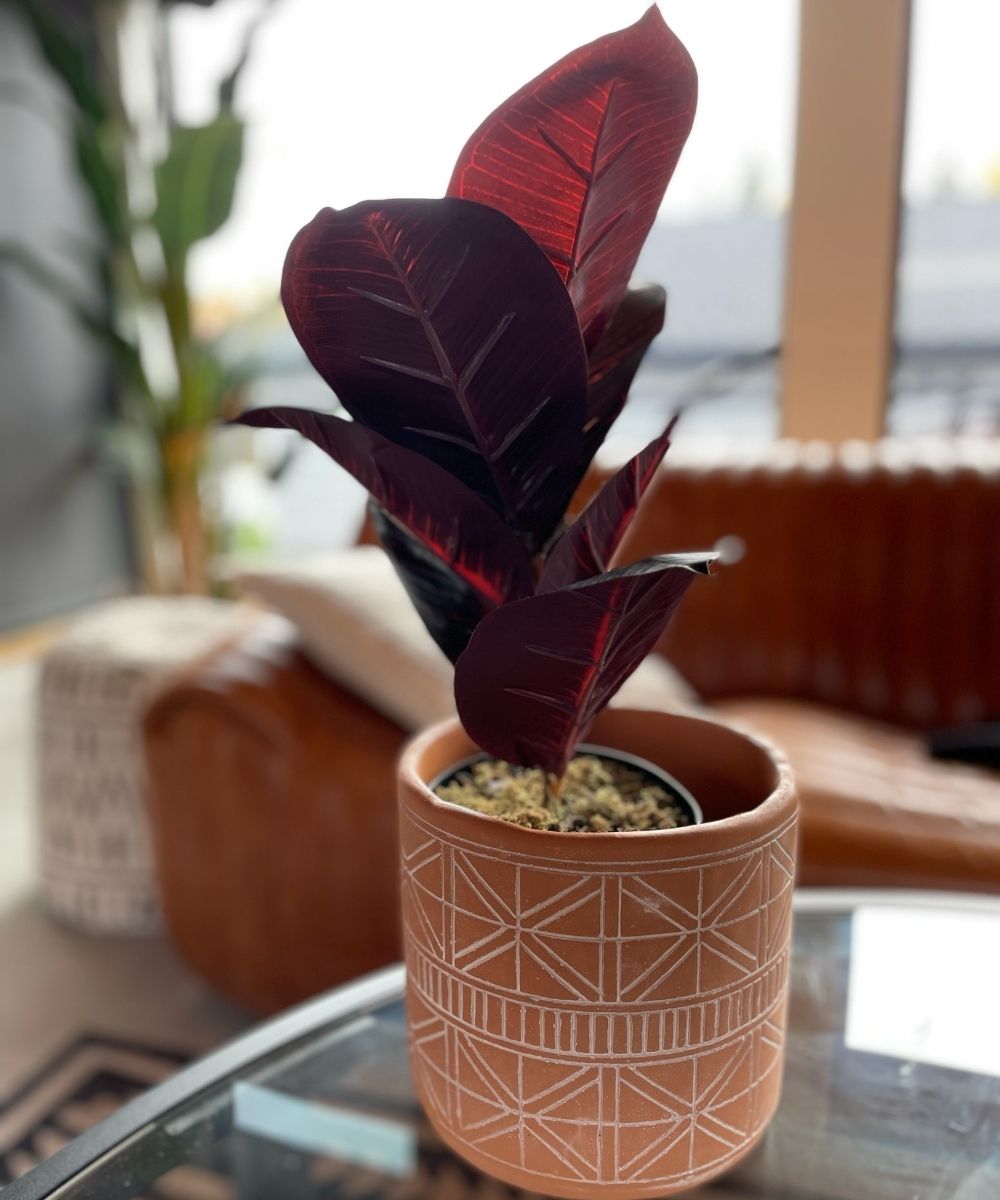 Mongui Artificial Rubber Potted Plant 1.2' 