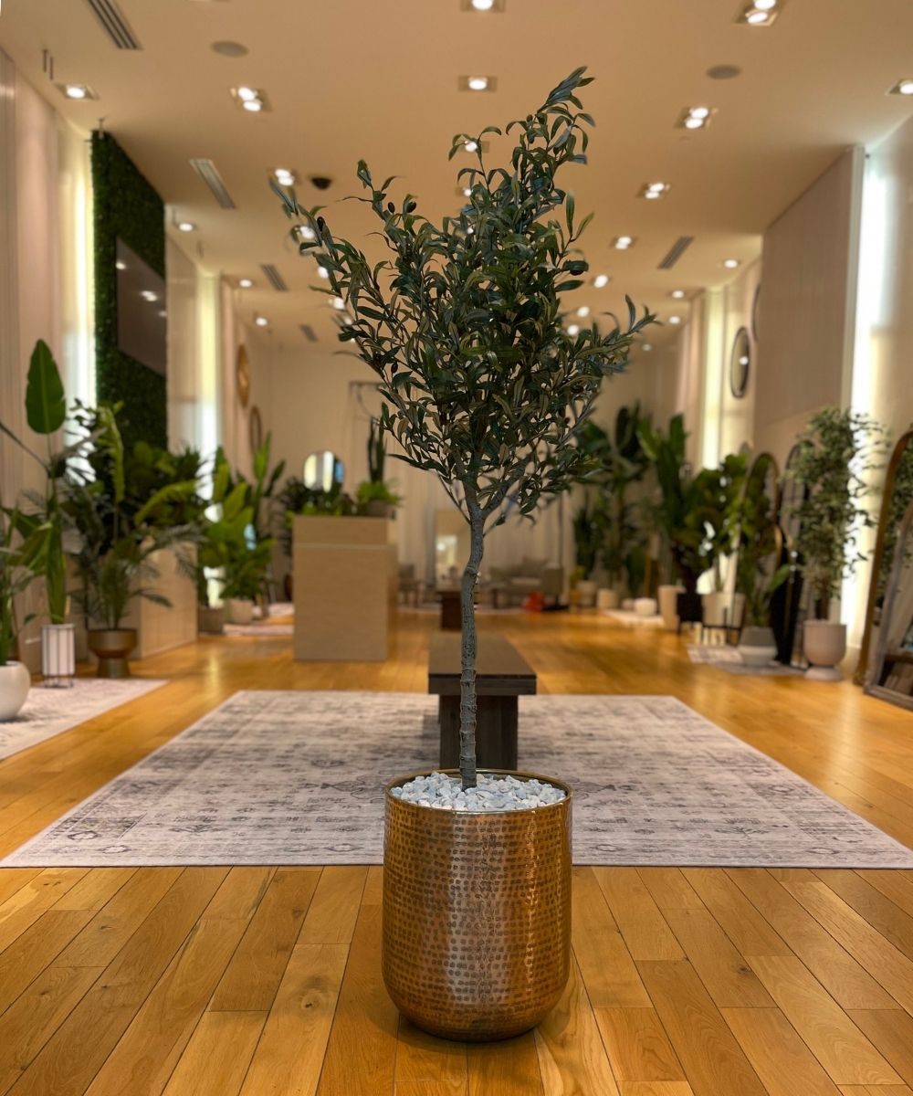 Bertooo - Brass Mid-Century Planter 