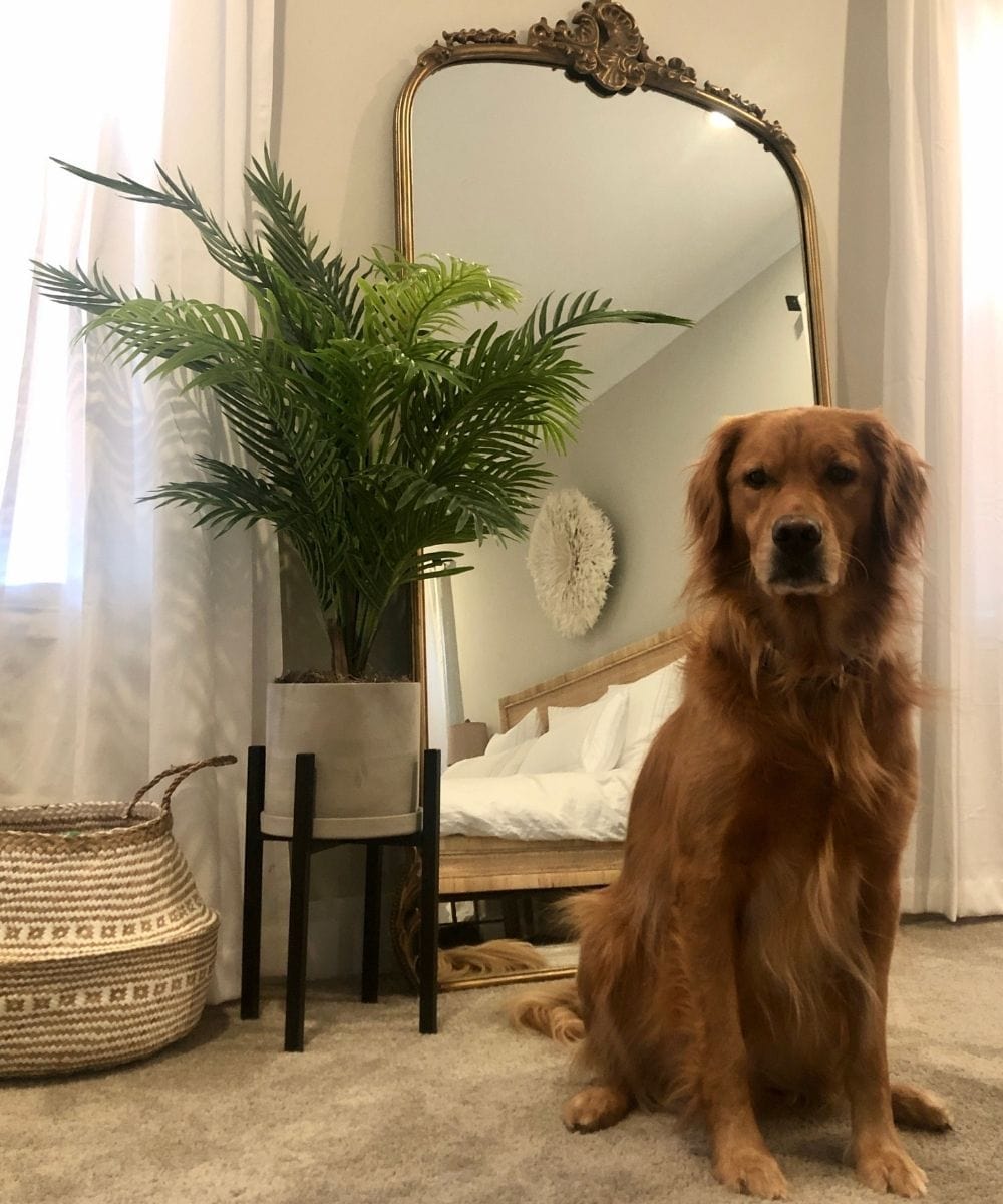 Lolo Artificial Hawaii Palm Potted Plant 3' 