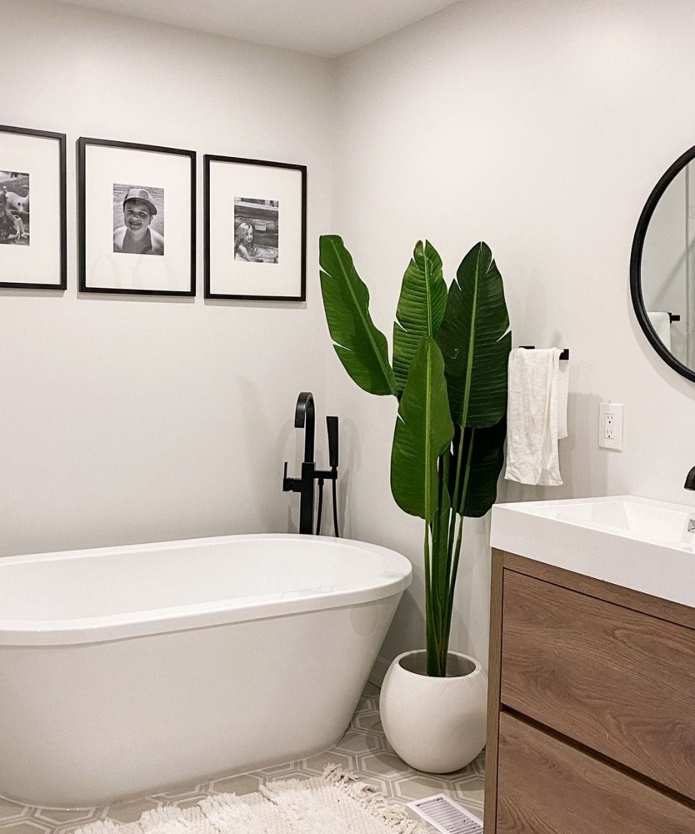 Rolo Round Cement Planter (Multiple Sizes) 