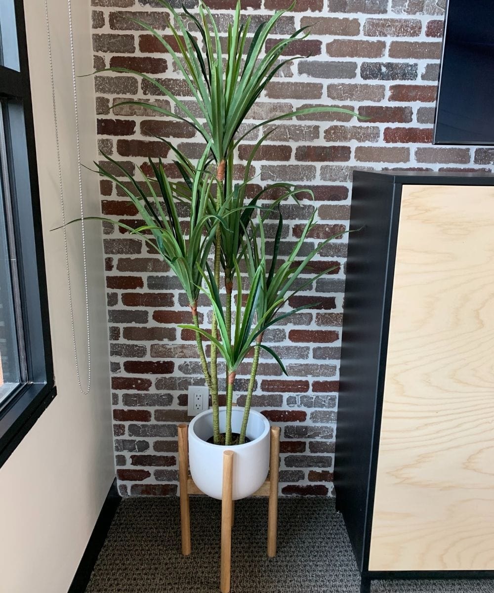 Yulu Artificial Century Potted Plant (Multiple Sizes) 