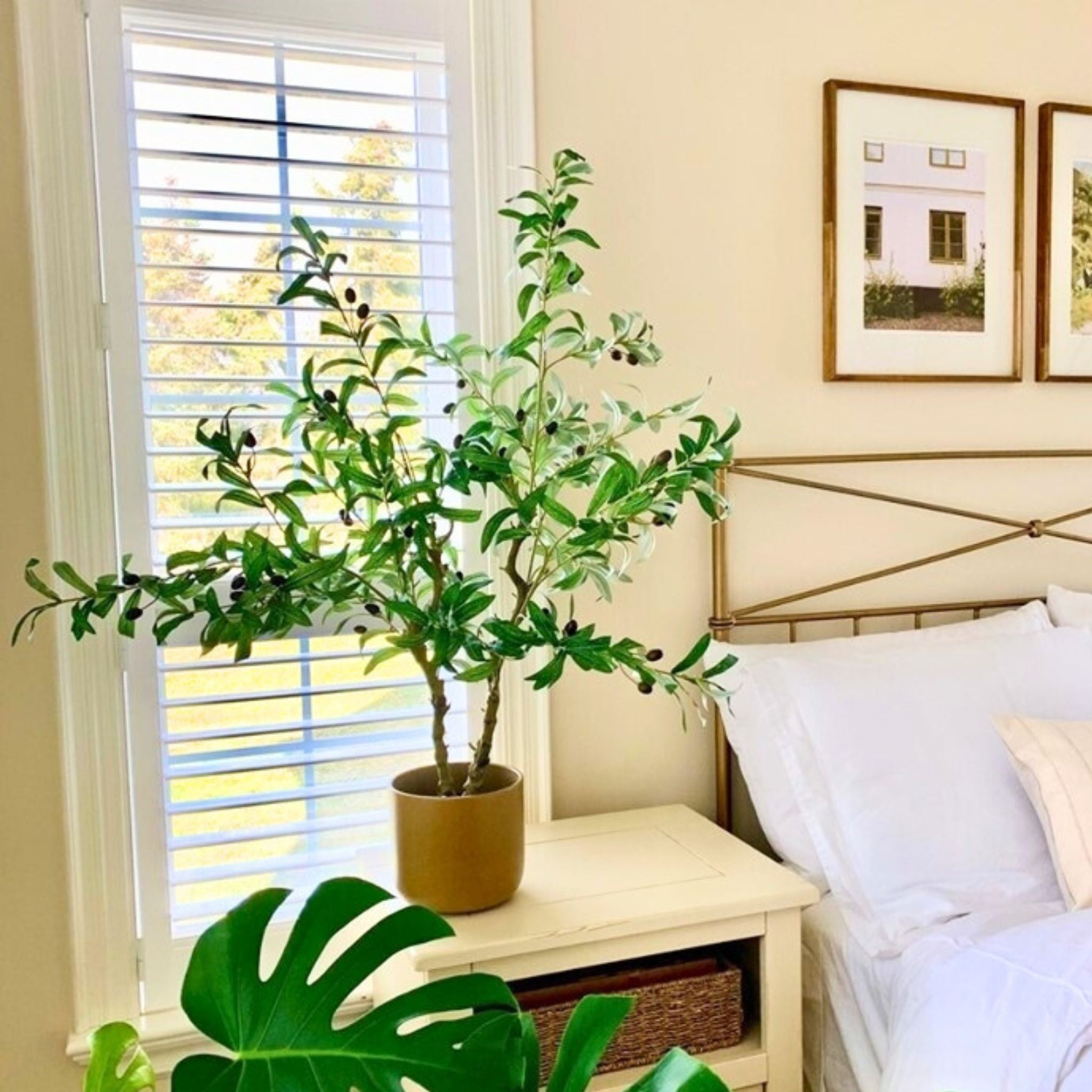 Oli Artificial Olive Tree Potted Plant (Multiple Sizes) 