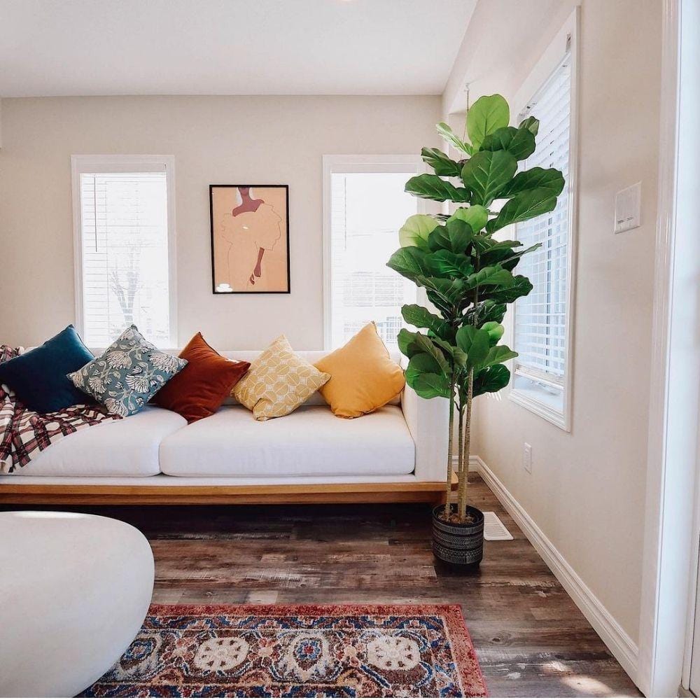 Alva Artificial Fiddle Leaf Potted Plant (Multiple Sizes) 