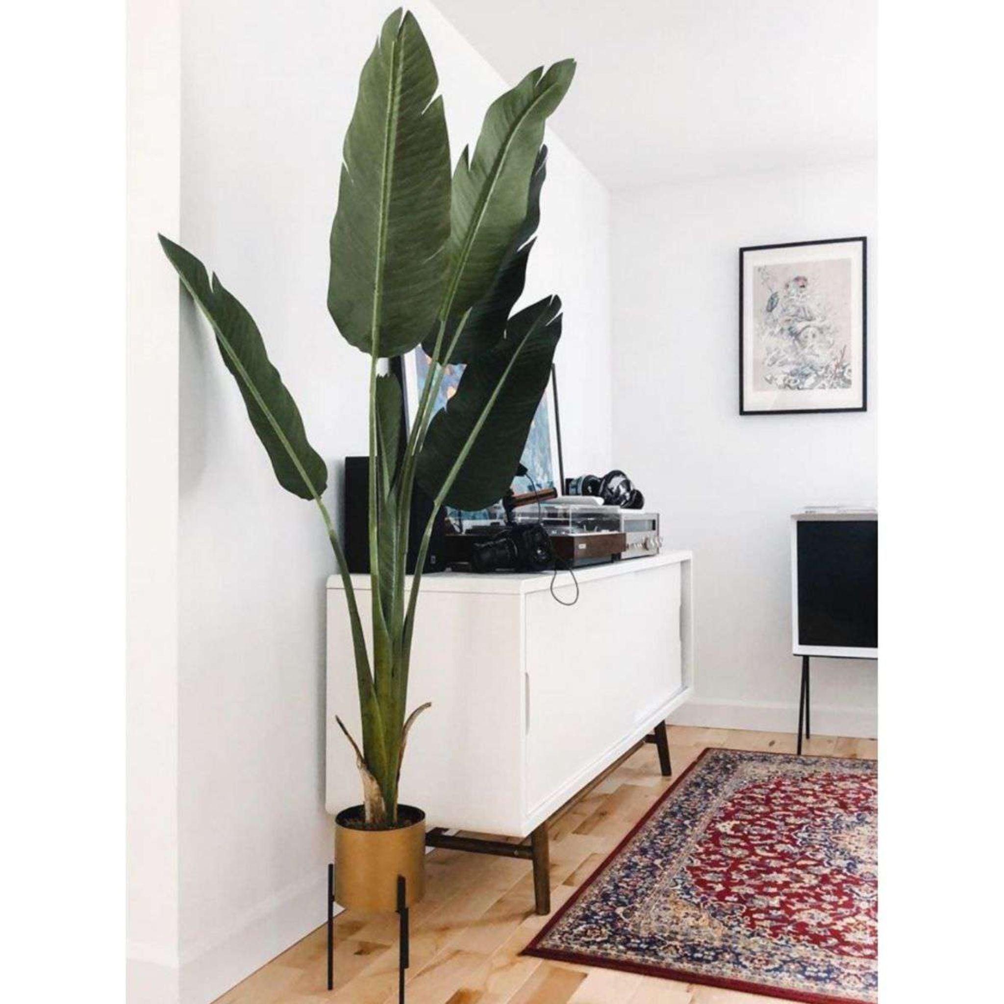 Luca Artificial Bird Of Paradise Potted Plant (Multiple Sizes) 