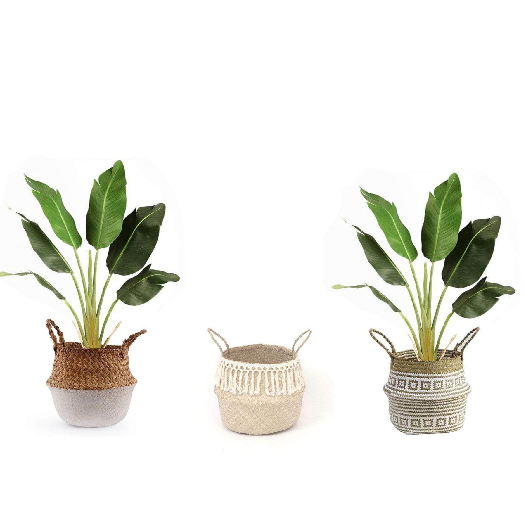 Lola Artificial Bird Of Paradise Potted Plant 3' 