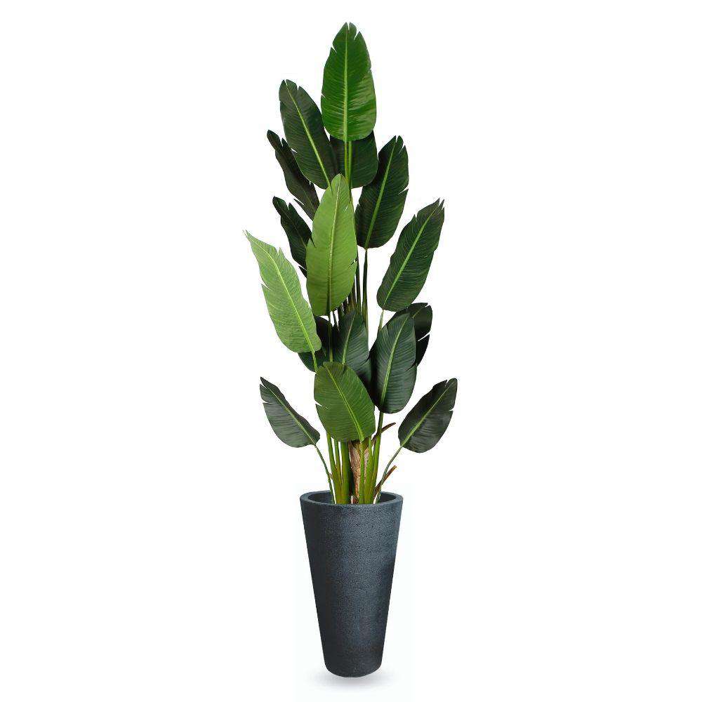 Vaneto Black Cement Planter (Multiple Sizes) 