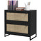Vinsetto Boho Lockable 2 Drawer File Cabinet Adjustable Bar for Letter A4 Legal Size Black Office Storage
