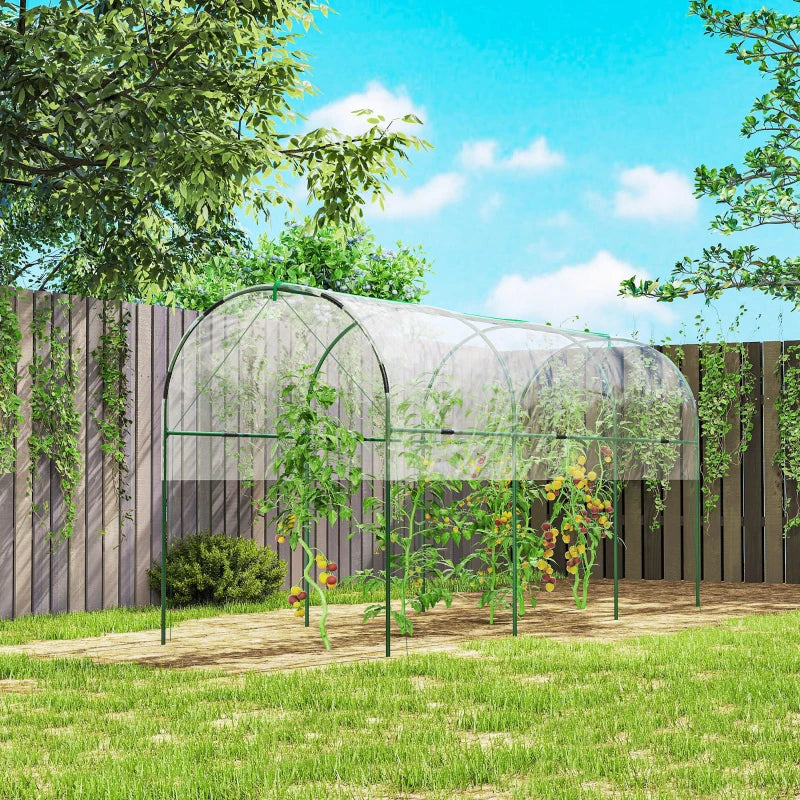 Tunnel Tomato Greenhouse with 4 Hoops and Top Tap, Pointed Bottom and Guy Ropes, 157.5" x 47.2" x 66.9", Clear
