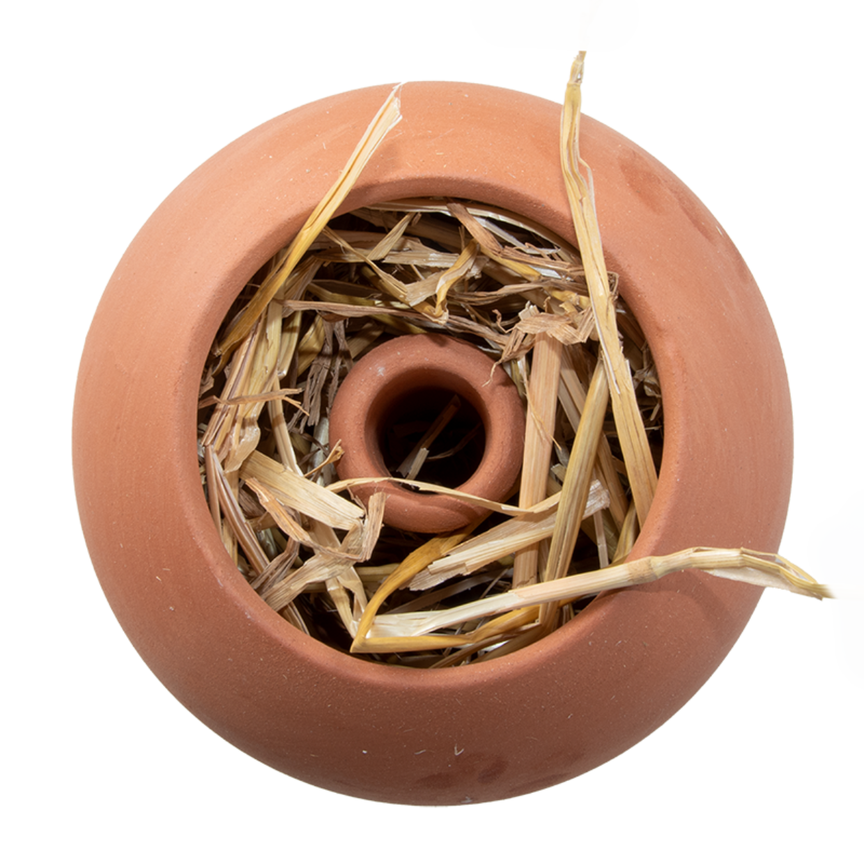 Earwig Pot 