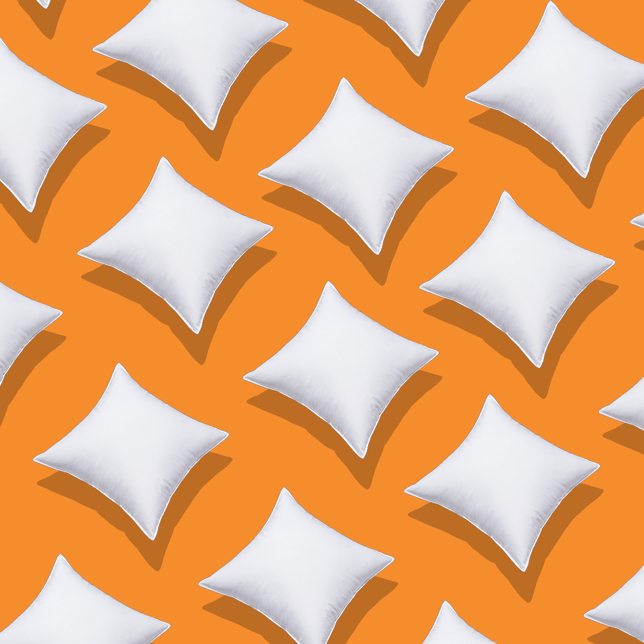 White Goose Feather Cushions 