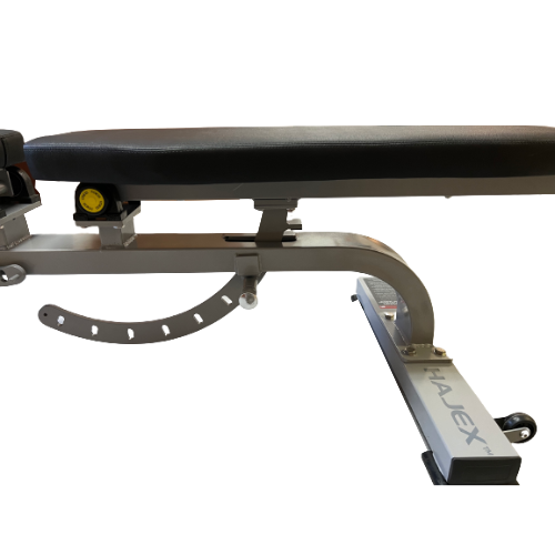 Adjustable Commercial Incline Workout Bench (HX-F39) 