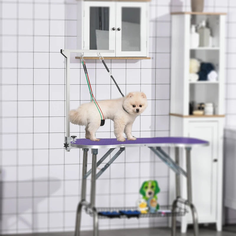 Adjustable Pet Grooming Arm, with Clamp, Haunch Holders & Grooming Loop - Sliver