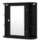 Wall-Mounted Bathroom Mirror Cabinet with Storage Shelves-Black