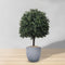 Kingston Faux Potted Cedar Topiary Plant 24