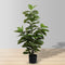 Yeso Artificial Fiddle Leaf Potted Plant 48