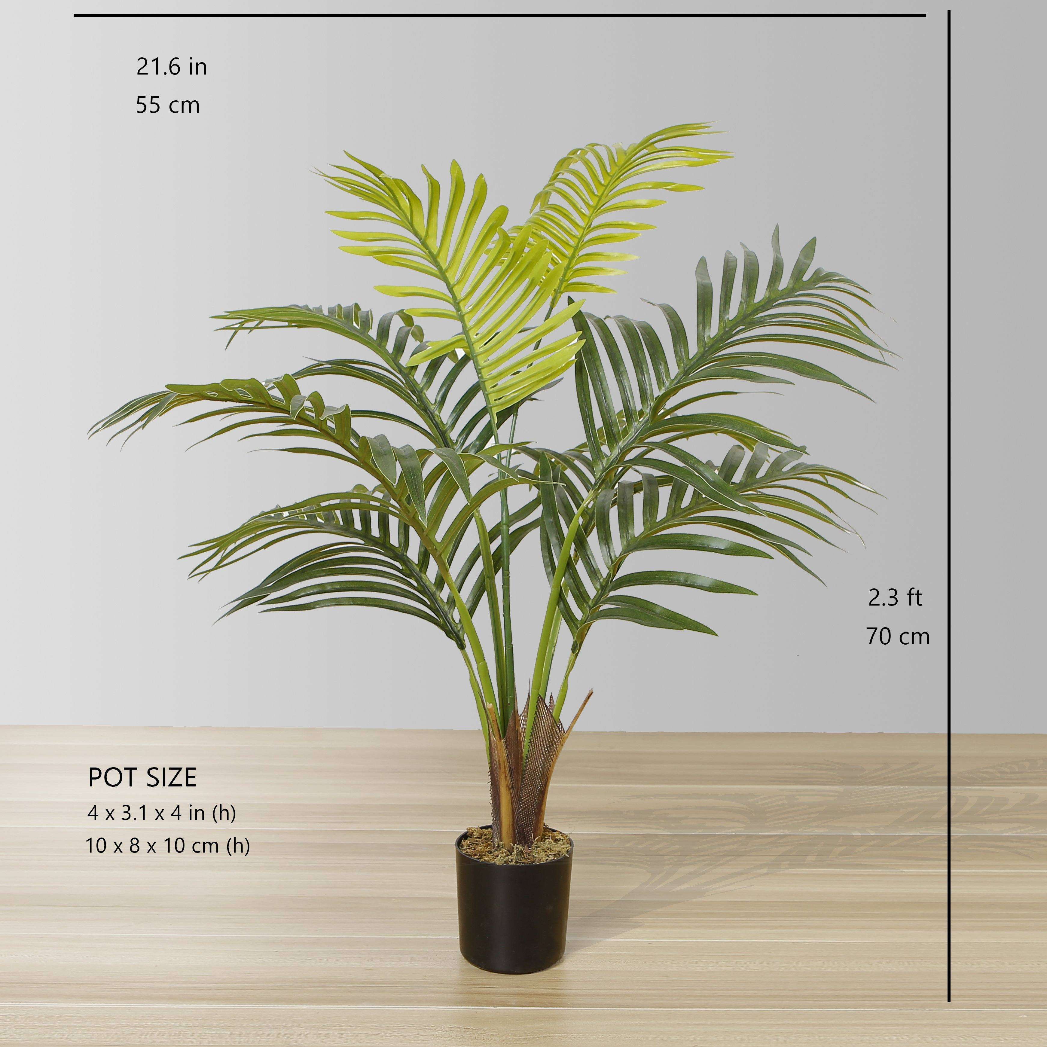 Xelo Artificial Hawaii Kwai Palm Tree Potted Plant (Multiple Sizes) 
