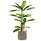 Ximena Water Hyacinth Planter – Handmade Natural Basket for Faux Plants, Sustainable Home Décor, Multiple Sizes