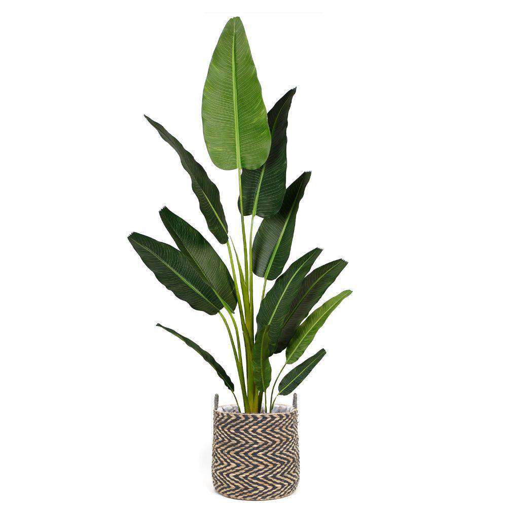 Ximena Water Hyacinth Planter 