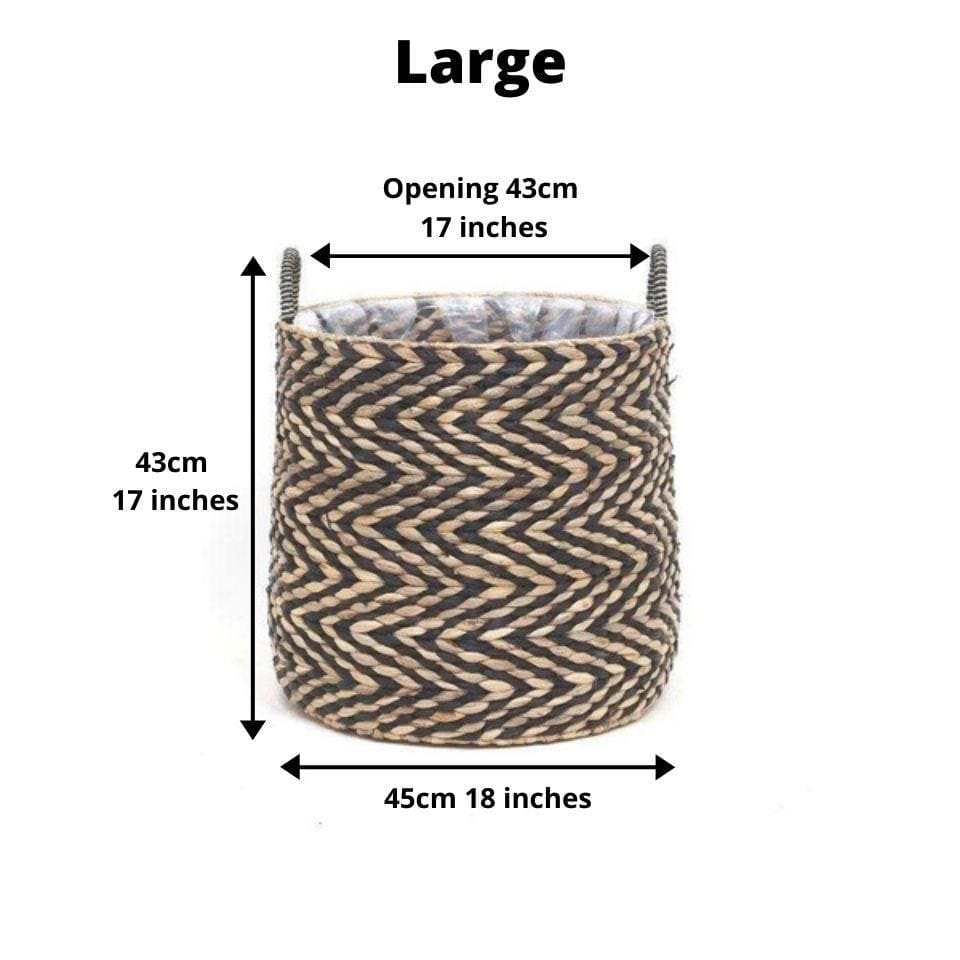 Ximena Water Hyacinth Planter 