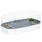 Turtle Tank Kit, Turtle Aquarium with Basking Platform, Water Pump, Filter Layer Design, Reptile Habitat