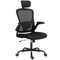 Ergonomic Office Chair, Mesh Desk Chair with Adjustable Headrest, Lumbar Support and Height, Flip-Up Armrests, Black