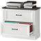 Lateral Filing Cabinet, Farmhouse File Cabinet with 2 Silent Drawers for Letter/A4/Legal Size Files, White