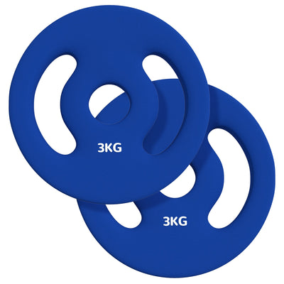Soozier 2 x 6.6lbs Standard Weight Plates with Easy-Grip Handles, 1" Holes, for Home, Gym, Weight Lifting and Strength Training 