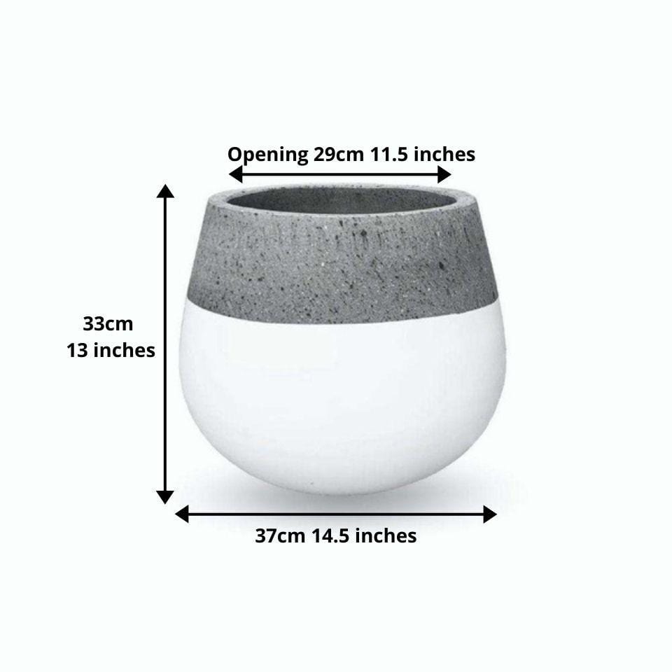 Zamora Cement Planter (Multiple Sizes) 