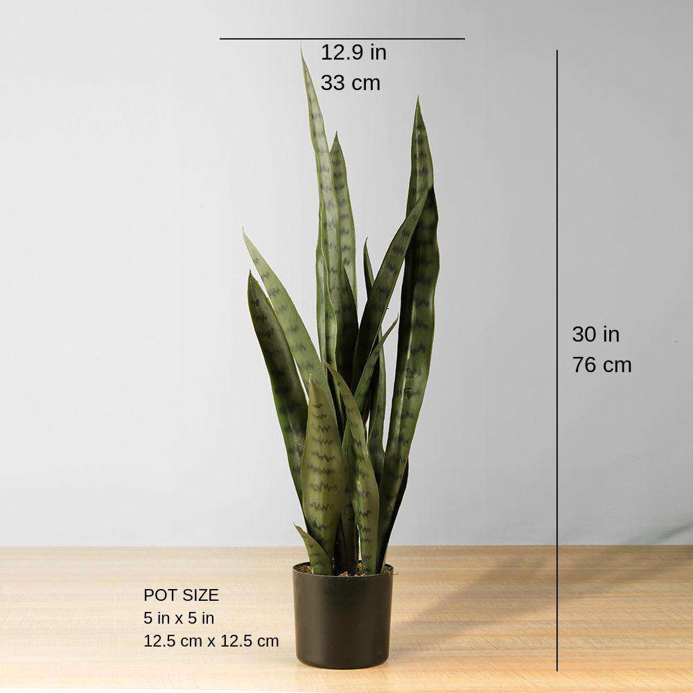 Zoro Artificial Snake Sansevieria Dark Green Potted Plant 30'' 