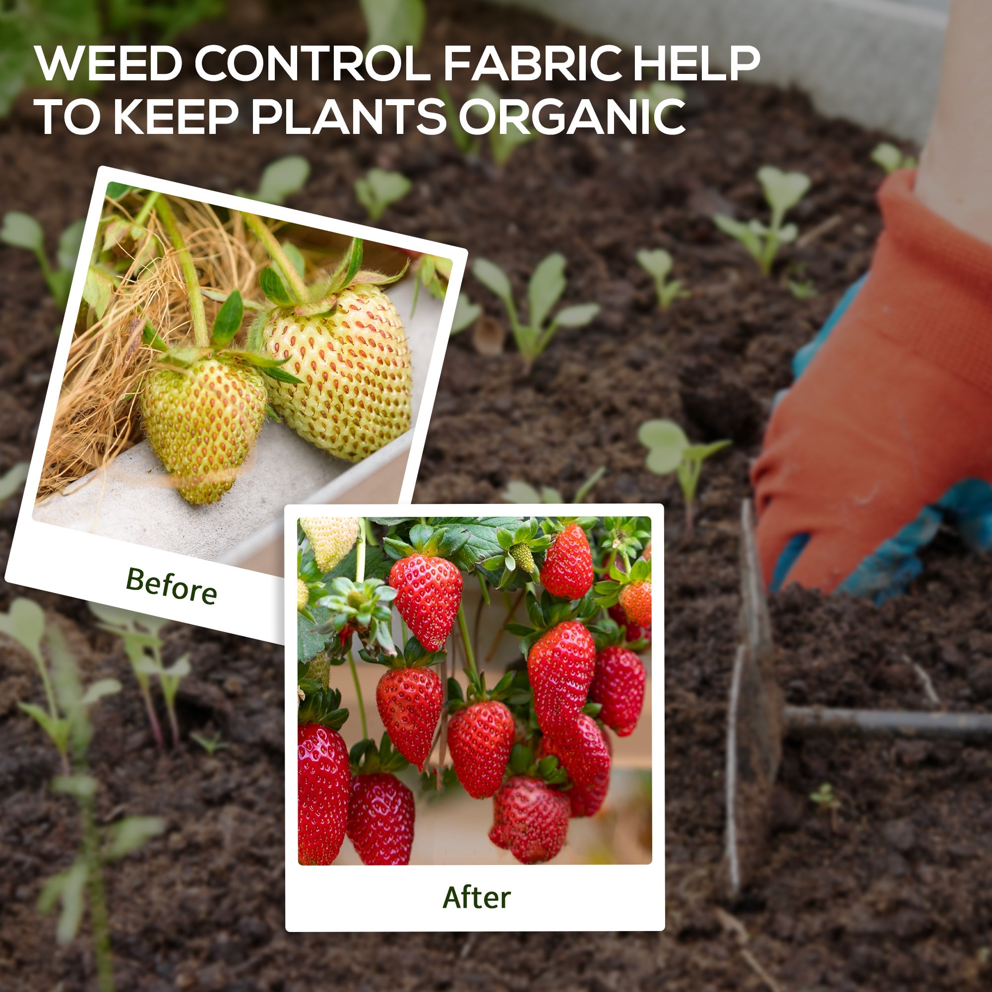 Outsunny Landscape Fabric 3ftx300ft Premium Weed Barrier Heavy-Duty Durable Weed Block Gardening Mat Easy Installation 