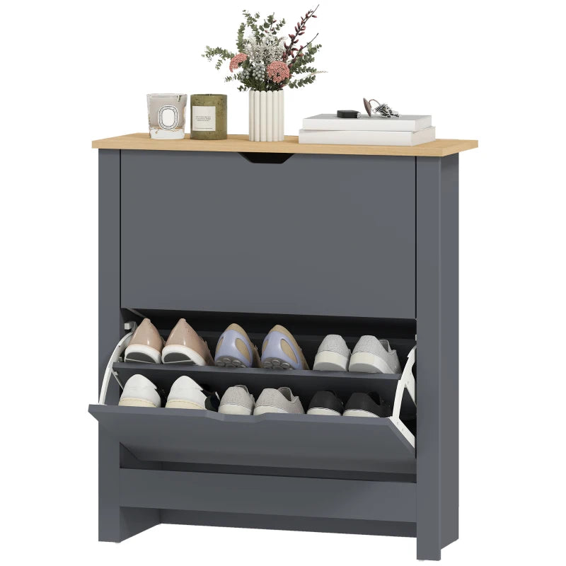 Shoe Storage Cabinet with 2 Flip Drawers and Adjustable Shelves for 12 Pairs of Shoes, Dark Grey