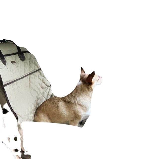 Pet Cat Dog Car Front seat 