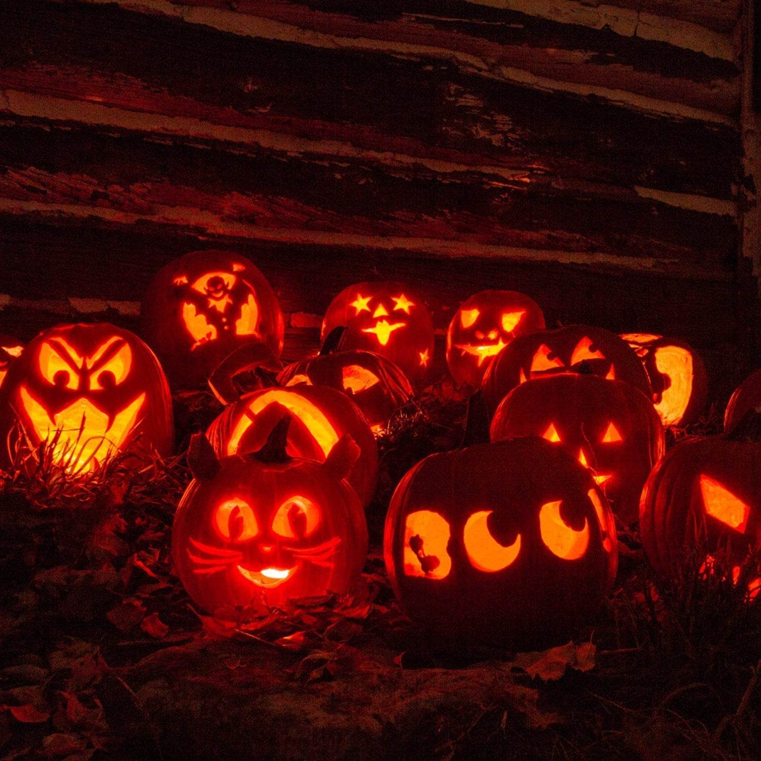 13Pcs Halloween Pumpkin Carving Kit Stainless Steel Carving Kit Pumpkin Sculpting Cutting Kit Halloween Decorative Tools 