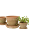 Aged Clay Cactus Pot + Saucer – Hand-Thrown Antique Redstone, 6