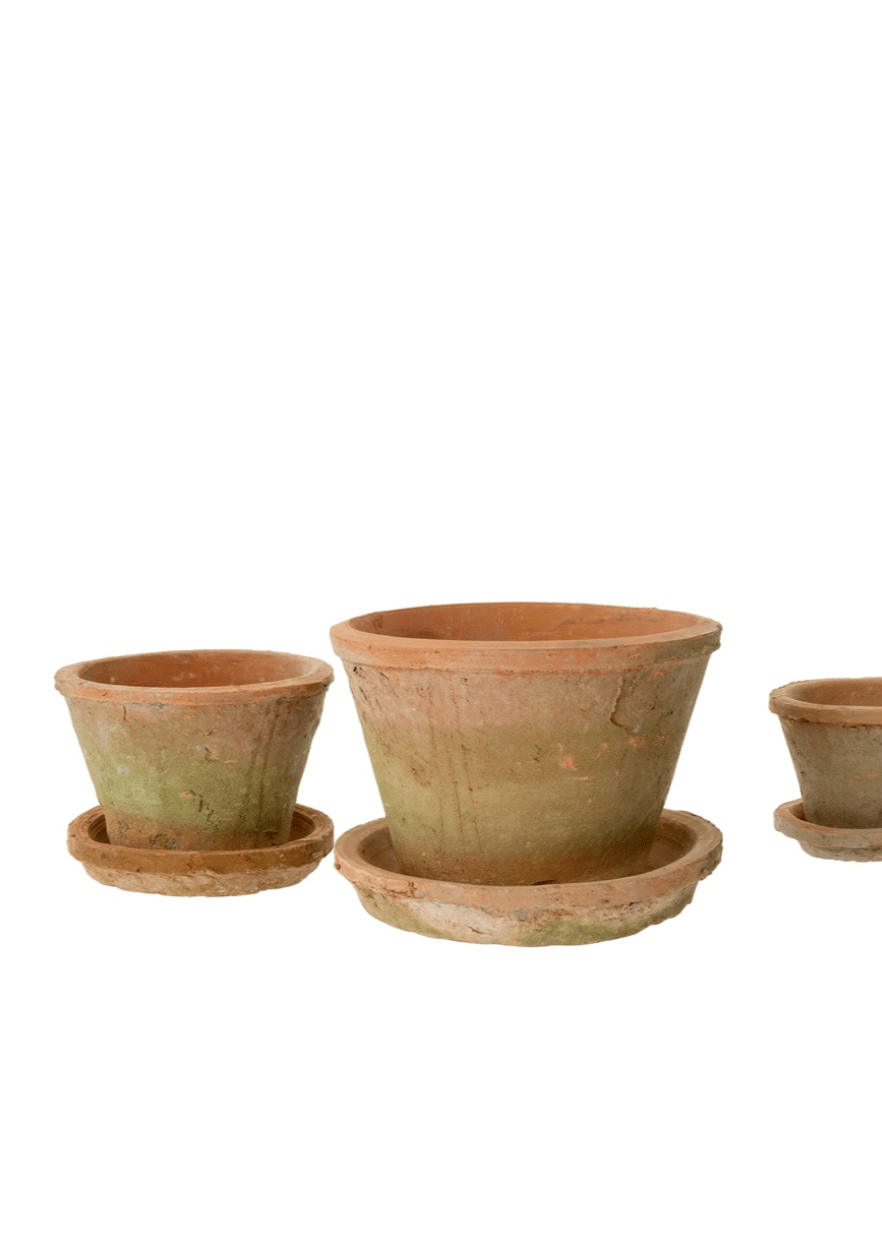Aged Clay Cactus Pot + Saucer – Antique Redstone 
