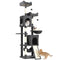 Cat Tree, 70