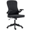 Ergonomic Office Chair, Swivel Desk Chair with Adjustable Lumbar Support and Height, Flip-up Armrests, Wheels, Black