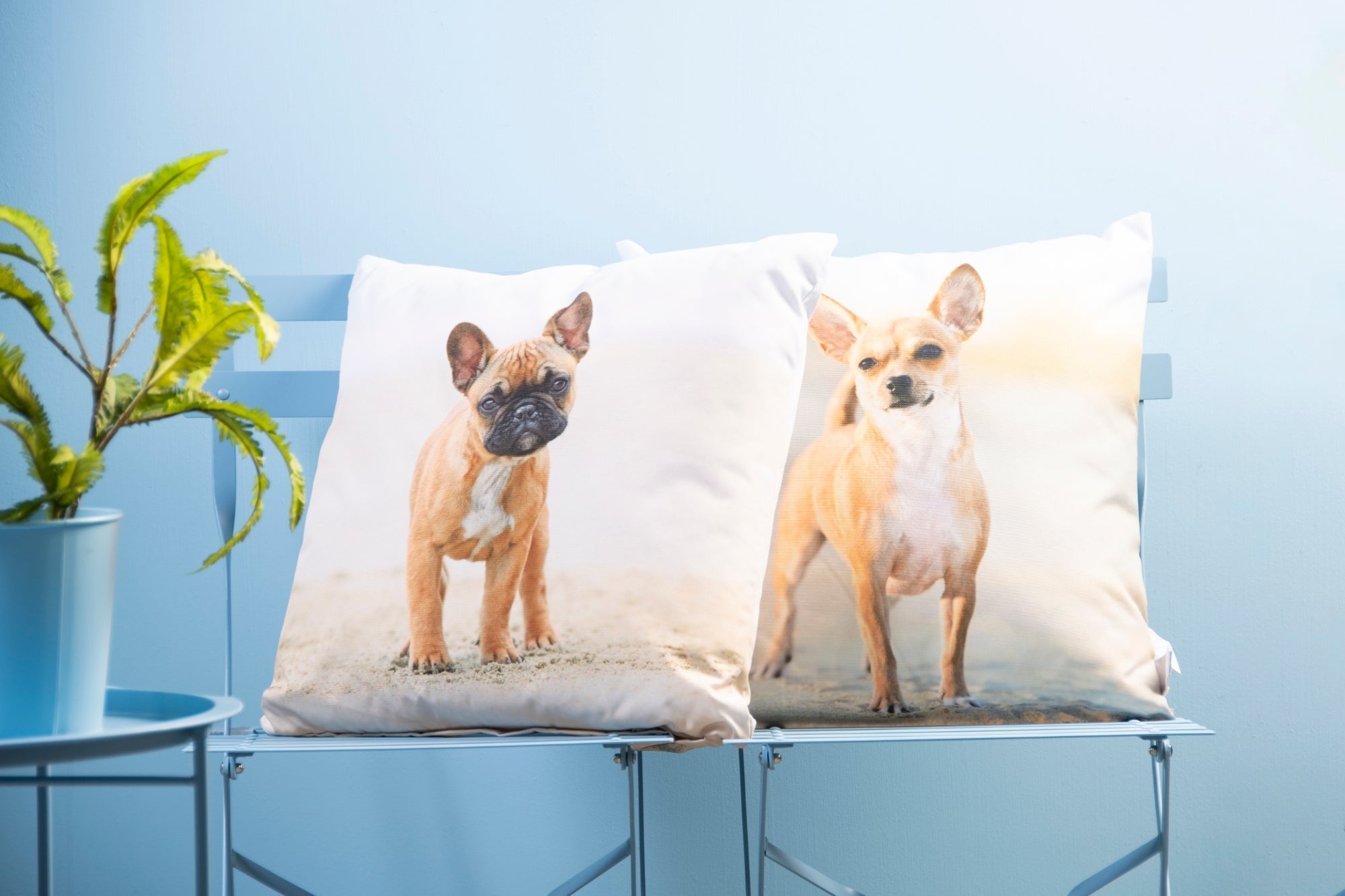 Outdoor Cushion With Dog Print S 