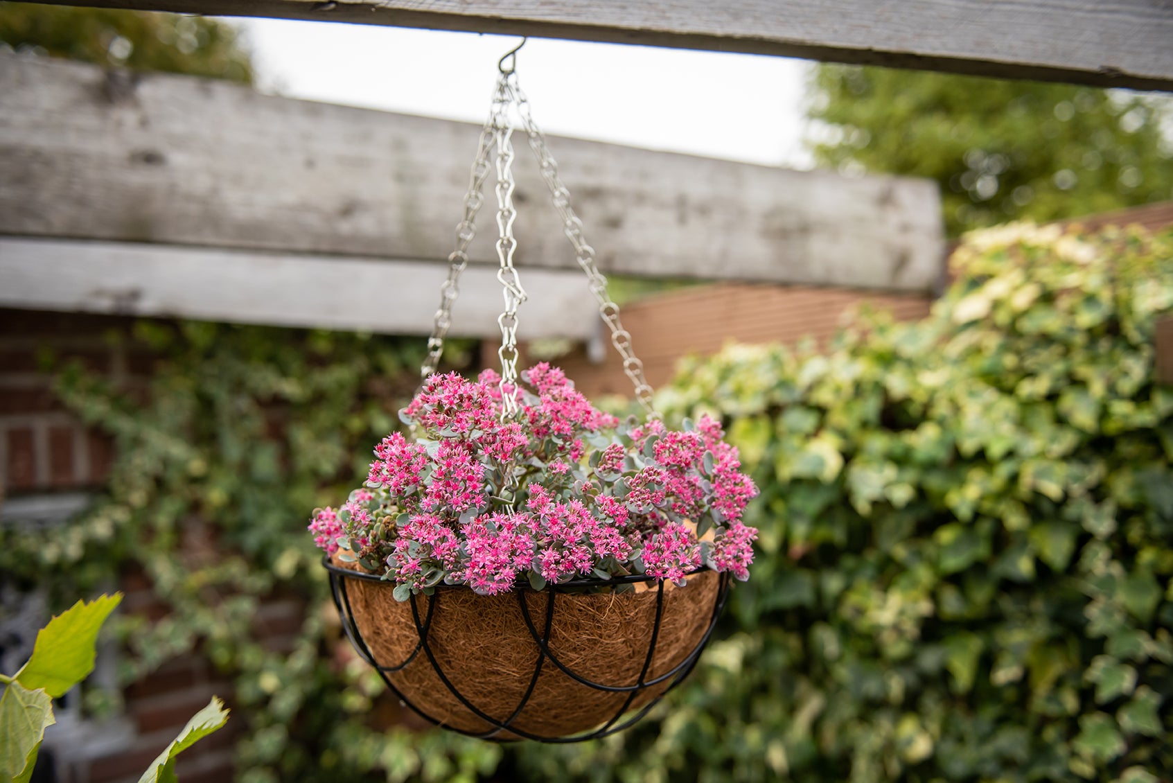 Black Metal Hanging Basket S 